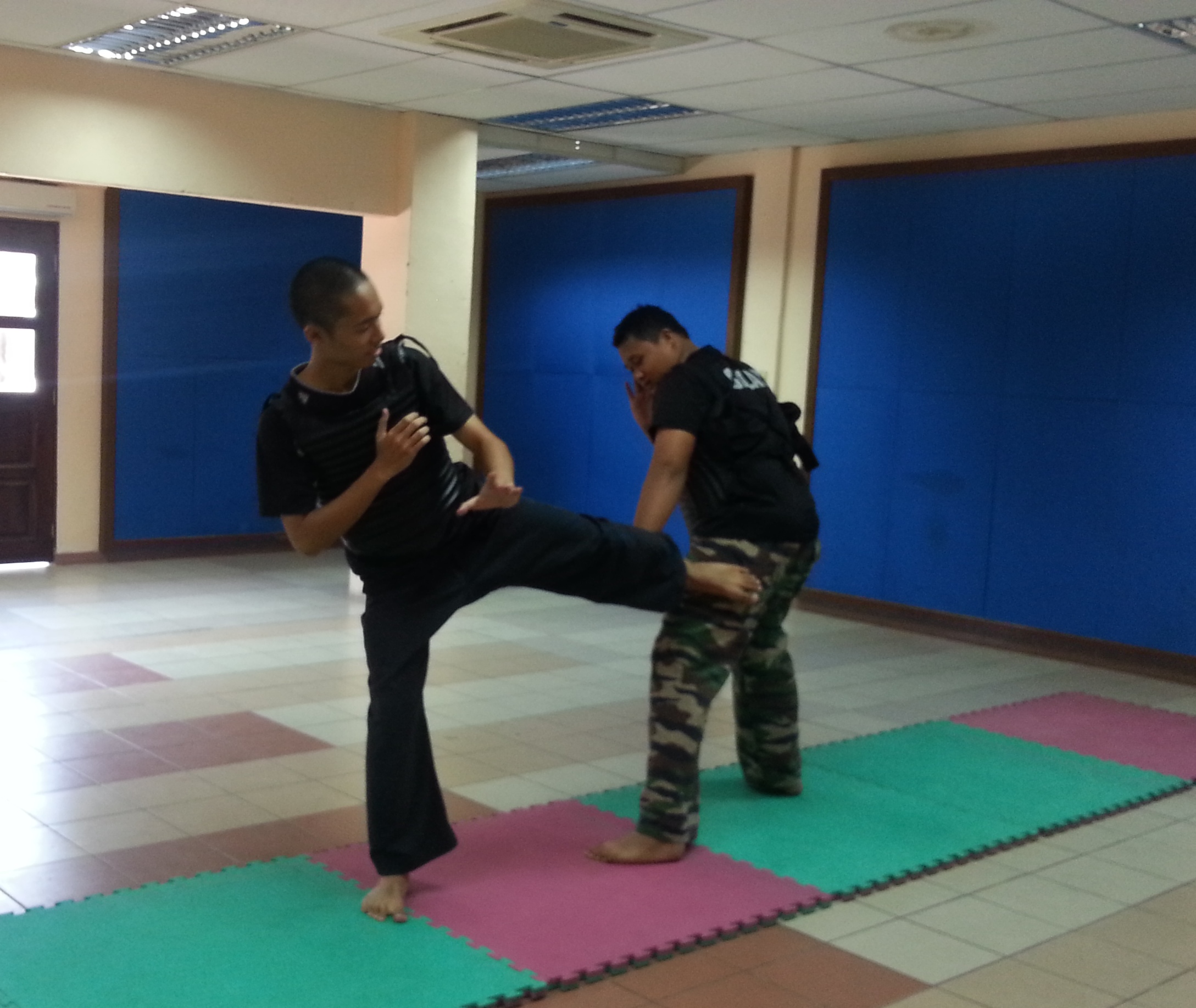 SILAT TEMPUR: Konsep, Sejarah dan Sistem Pemarkahan